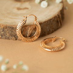 Trending Gold Plated Vintage Hoops Earrings